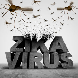 ZikaVirusMosquitoes - canstockphoto36258858
