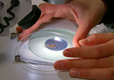 iStock_000060649972_Small